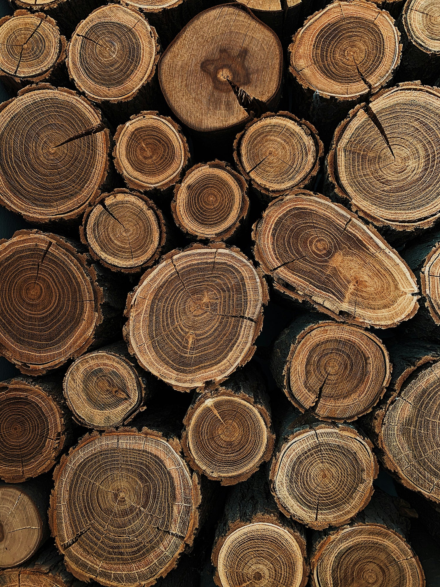 Stack of cut wooden logs with visible grain and rings.