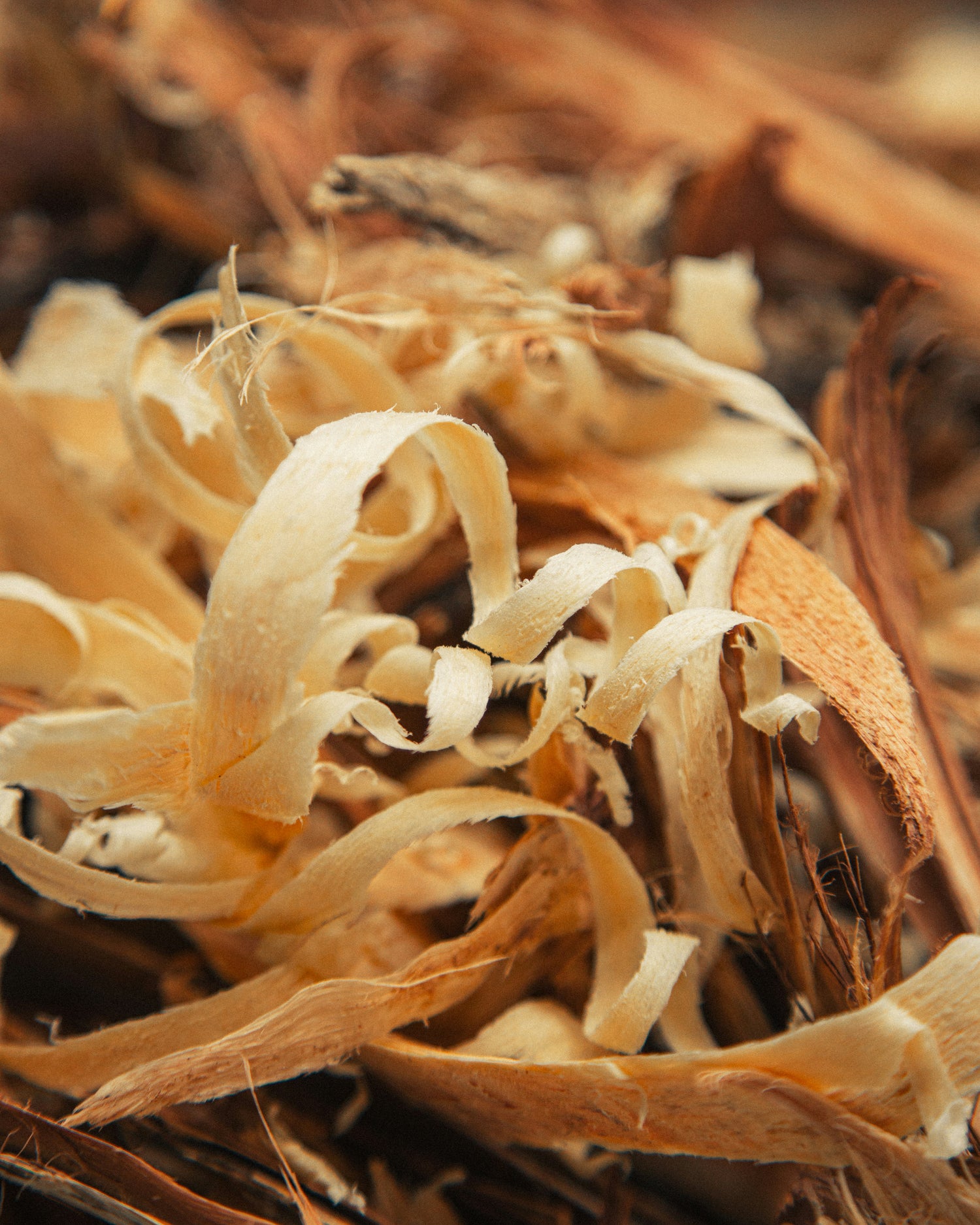 Close-up of wood shavings
